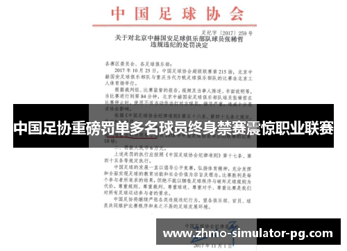 中国足协重磅罚单多名球员终身禁赛震惊职业联赛