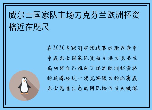 威尔士国家队主场力克芬兰欧洲杯资格近在咫尺